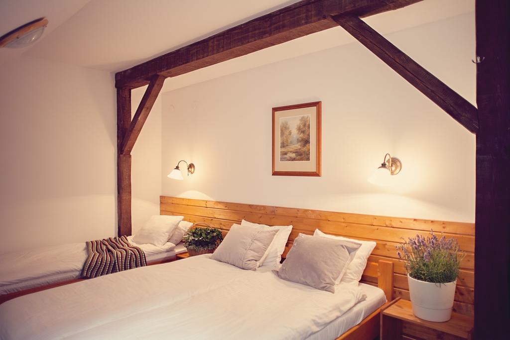 Hotel Gorski Czarna Gora Stronie Śląskie Camera foto