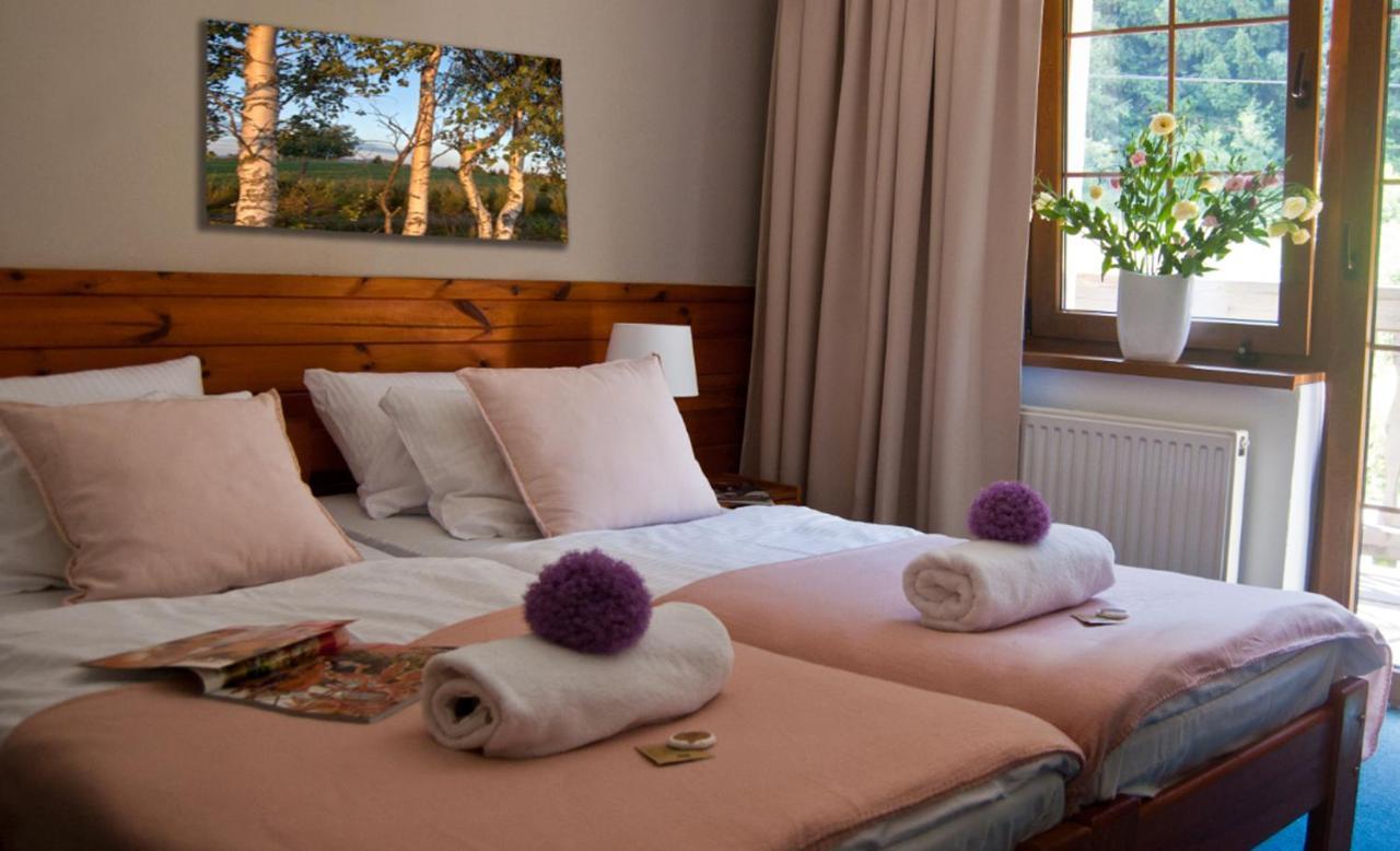 Hotel Gorski Czarna Gora Stronie Śląskie Esterno foto
