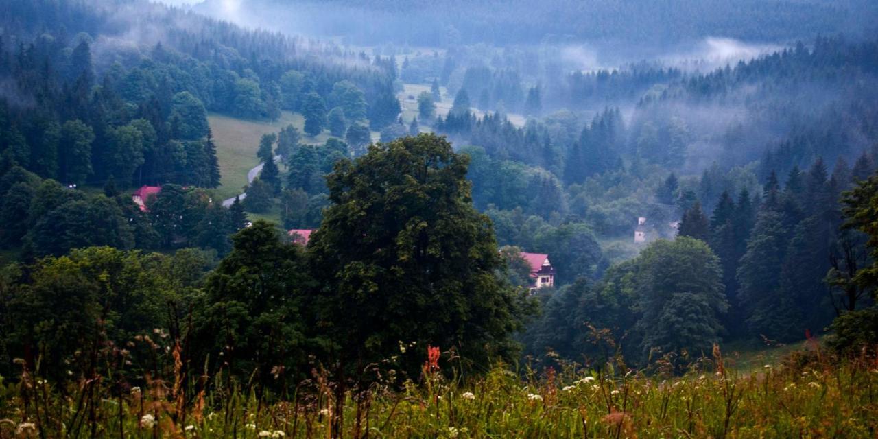 Hotel Gorski Czarna Gora Stronie Śląskie Esterno foto