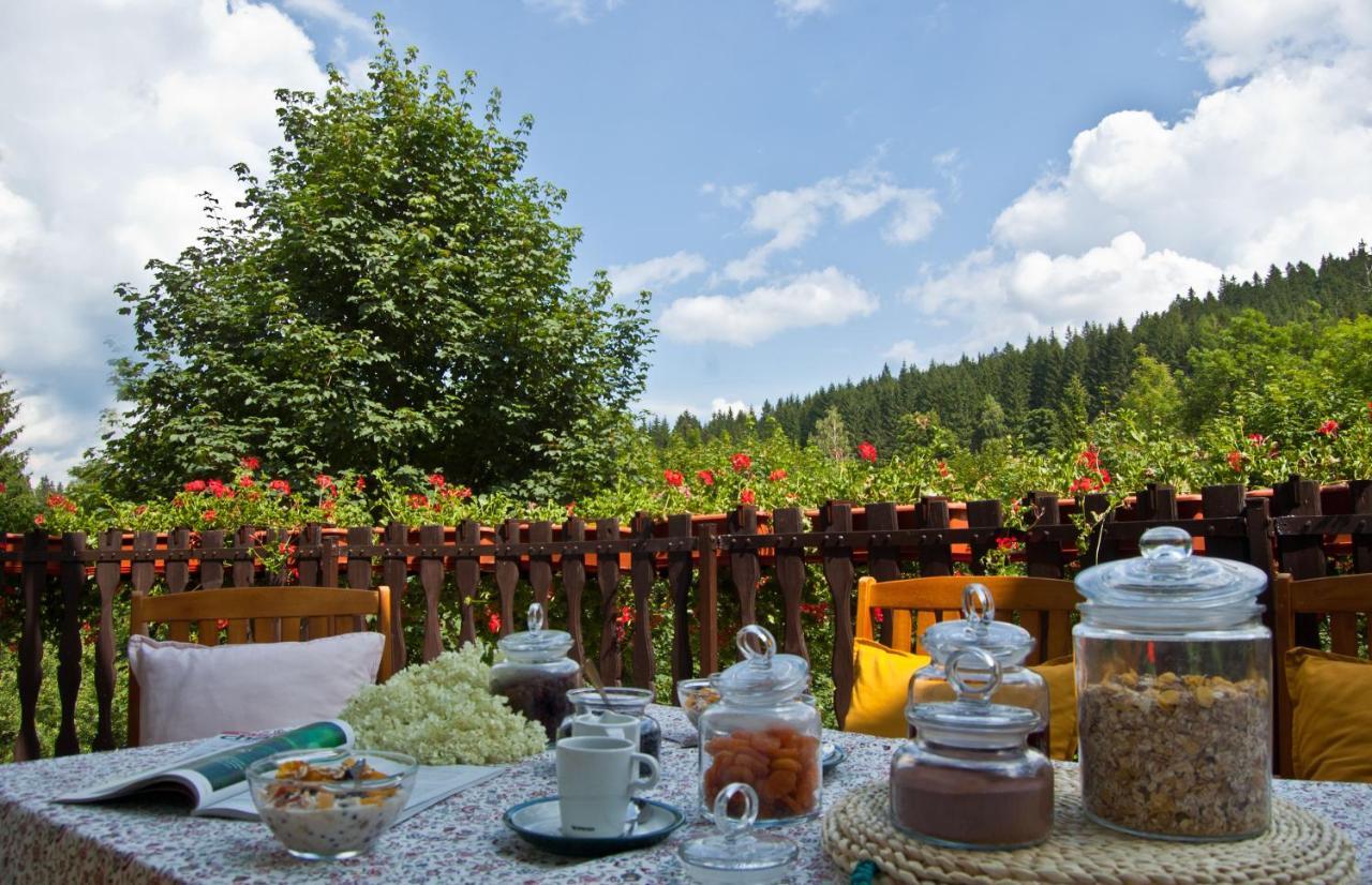 Hotel Gorski Czarna Gora Stronie Śląskie Esterno foto