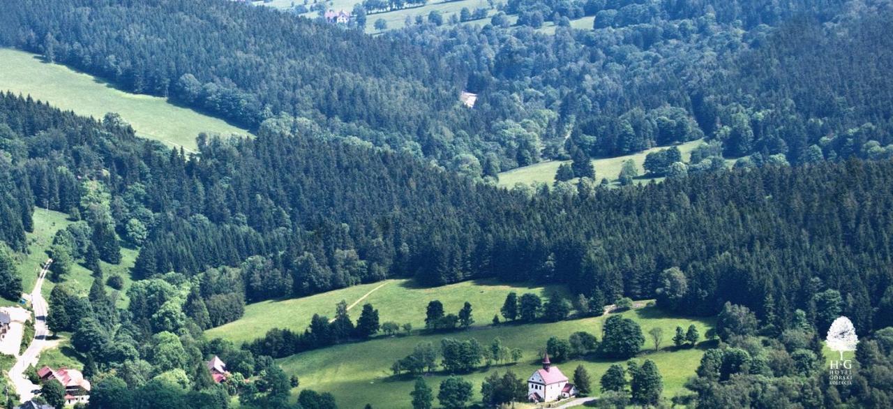 Hotel Gorski Czarna Gora Stronie Śląskie Esterno foto