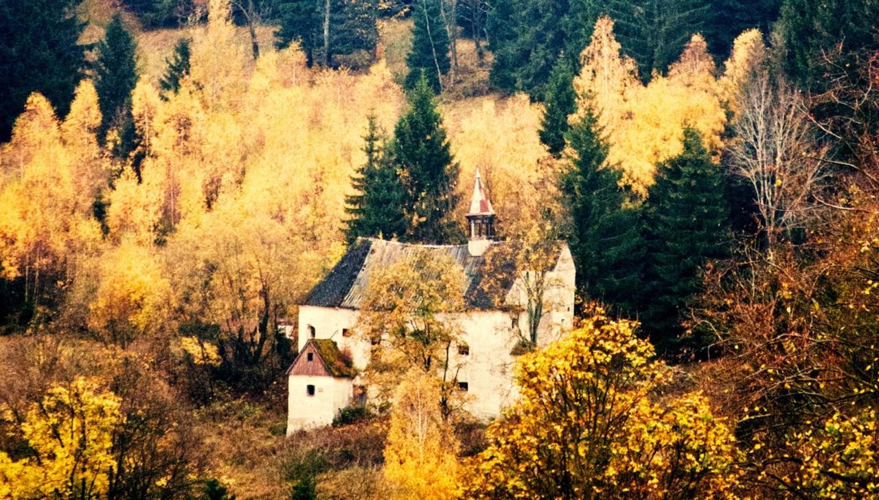 Hotel Gorski Czarna Gora Stronie Śląskie Esterno foto